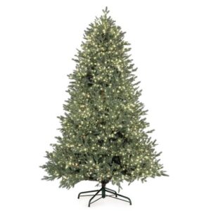 Albero Berkshire Plus 240h- con 5200Mled