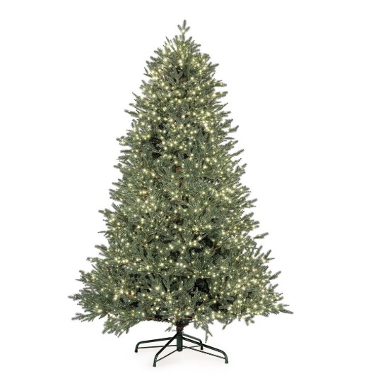 Albero Berkshire Plus 240h- con 5200Mled