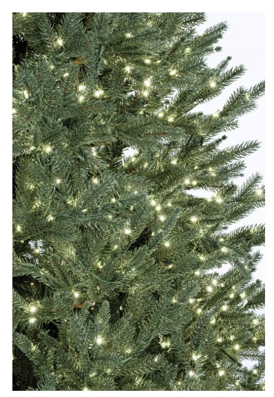 Albero Berkshire Plus 240h- con 5200Mled - immagine 3