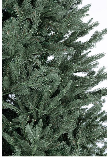 Albero Berkshire Plus 240h- con 5200Mled - immagine 2